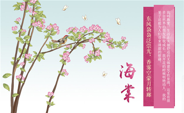 新澳门全年免费原料网